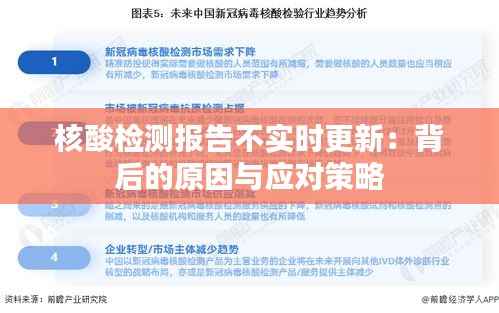 核酸检测报告不实时更新:背后的原因与应对策略