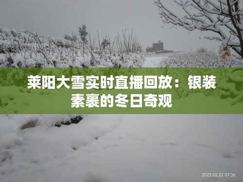 莱阳大雪实时直播回放：银装素裹的冬日奇观