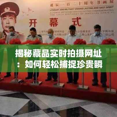 揭秘藏品实时拍摄网址：如何轻松捕捉珍贵瞬间