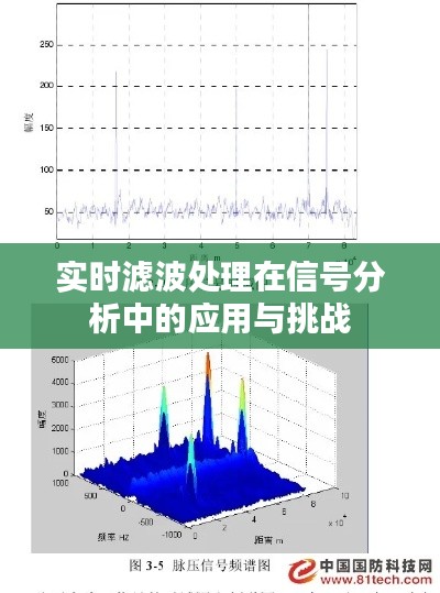 实时滤波处理在信号分析中的应用与挑战