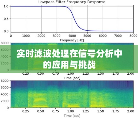 实时滤波处理在信号分析中的应用与挑战