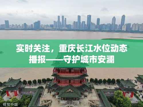 实时关注，重庆长江水位动态播报——守护城市安澜