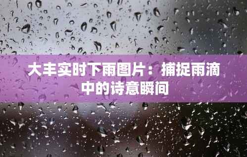 大丰实时下雨图片：捕捉雨滴中的诗意瞬间
