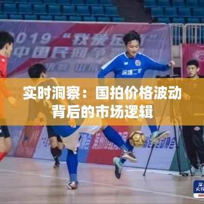 实时洞察：国拍价格波动背后的市场逻辑