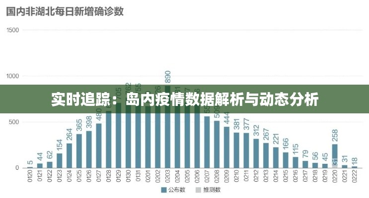 实时追踪：岛内疫情数据解析与动态分析