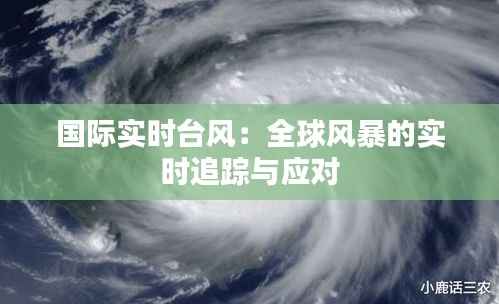 国际实时台风：全球风暴的实时追踪与应对