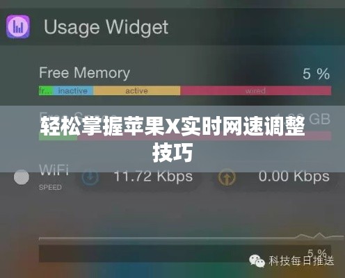 轻松掌握苹果X实时网速调整技巧