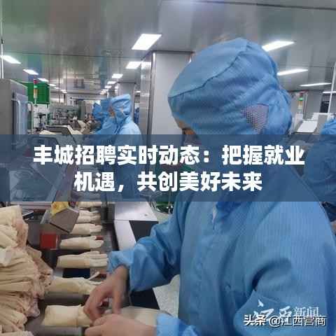 丰城招聘实时动态：把握就业机遇，共创美好未来