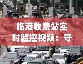临港收费站实时监控视频:守护交通安全的智慧之眼
