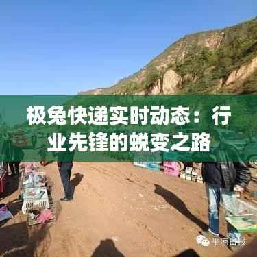 极兔快递实时动态:行业先锋的蜕变之路