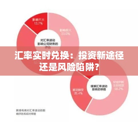 汇率实时兑换：投资新途径还是风险陷阱？