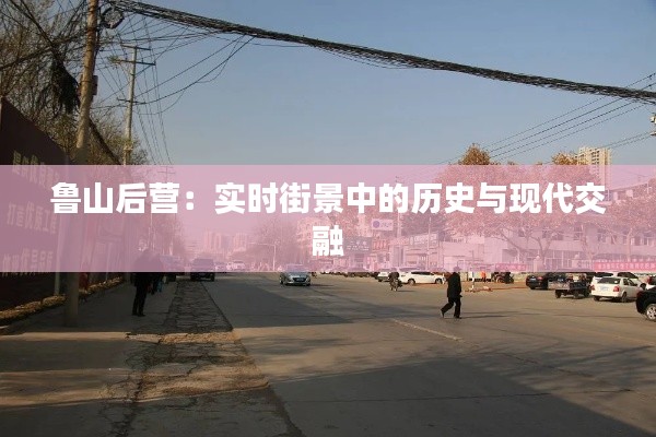 鲁山后营:实时街景中的历史与现代交融