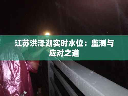 江苏洪泽湖实时水位:监测与应对之道
