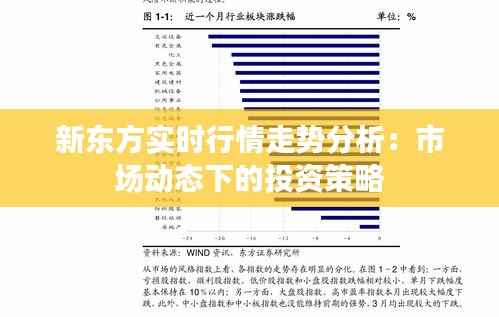 新东方实时行情走势分析：市场动态下的投资策略