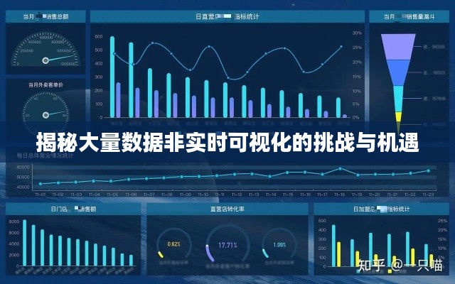 揭秘大量数据非实时可视化的挑战与机遇