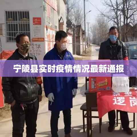 宁陵县实时疫情情况最新通报