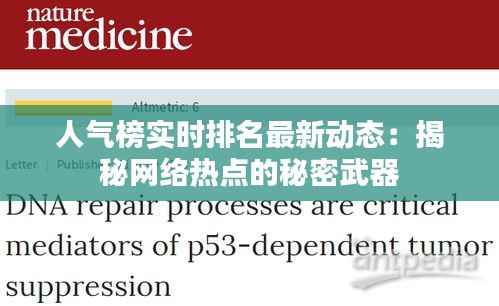 人气榜实时排名最新动态：揭秘网络热点的秘密武器