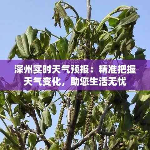 深州实时天气预报：精准把握天气变化，助您生活无忧