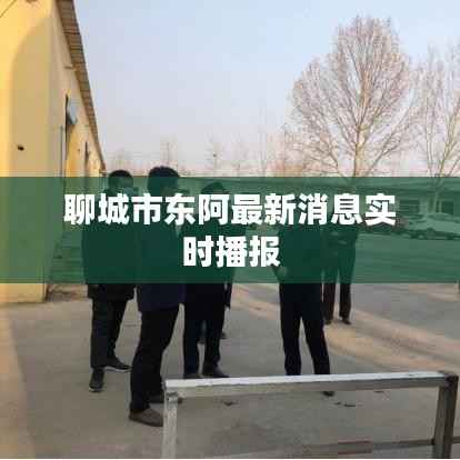 聊城市东阿最新消息实时播报
