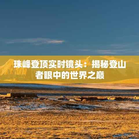 珠峰登顶实时镜头：揭秘登山者眼中的世界之巅
