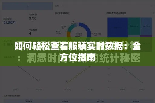 如何轻松查看服装实时数据:全方位指南