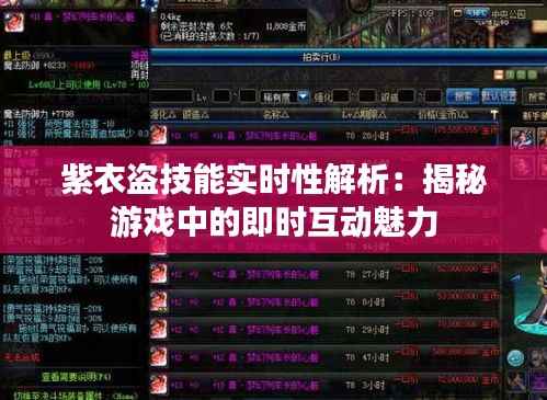 紫衣盗技能实时性解析：揭秘游戏中的即时互动魅力