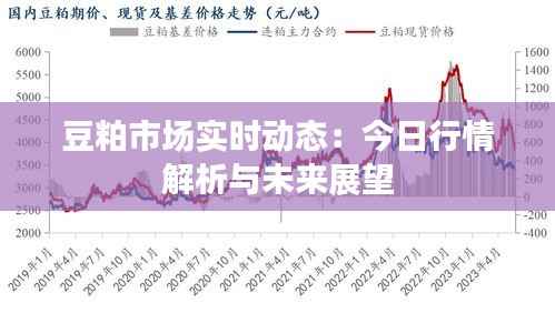 豆粕市场实时动态：今日行情解析与未来展望
