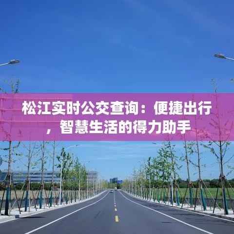 松江实时公交查询：便捷出行，智慧生活的得力助手