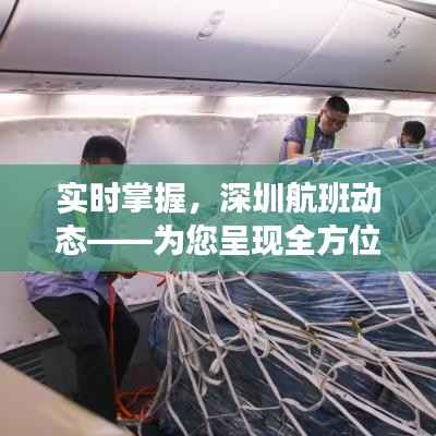 实时掌握，深圳航班动态——为您呈现全方位航班信息