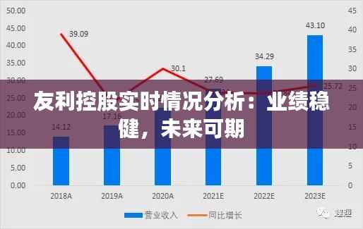 友利控股实时情况分析：业绩稳健，未来可期