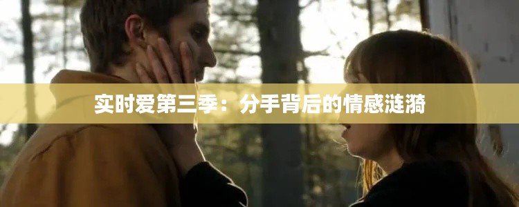 实时爱第三季：分手背后的情感涟漪
