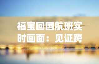 福宝回国航班实时画面：见证跨国归途的温馨瞬间