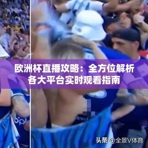 欧洲杯直播攻略:全方位解析各大平台实时观看指南