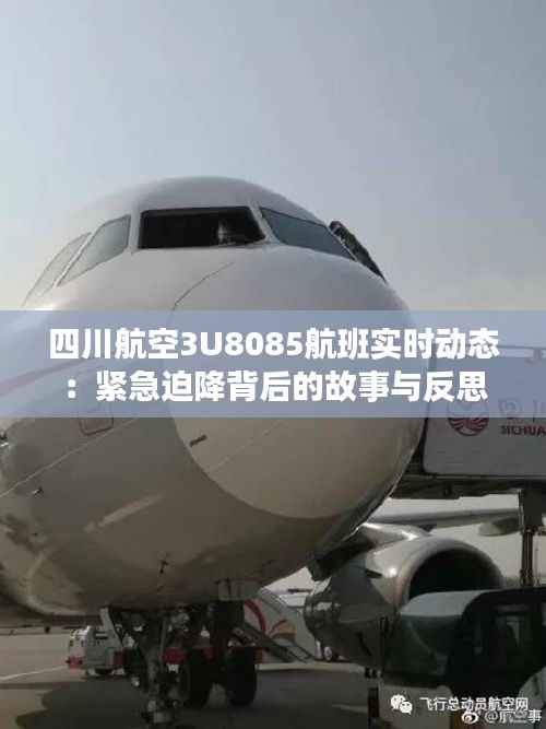 四川航空3U8085航班实时动态：紧急迫降背后的故事与反思