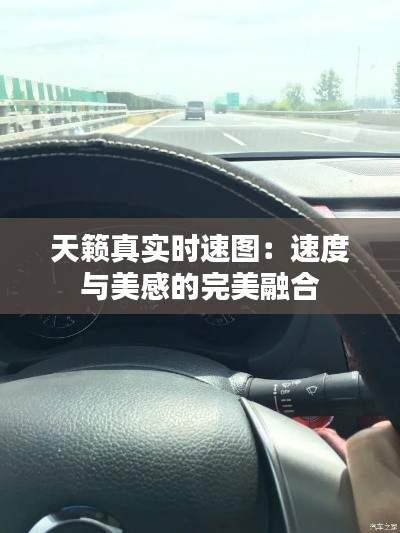 天籁真实时速图：速度与美感的完美融合