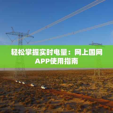 轻松掌握实时电量：网上国网APP使用指南