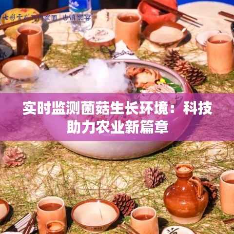 实时监测菌菇生长环境：科技助力农业新篇章