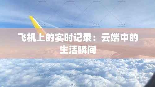 飞机上的实时记录:云端中的生活瞬间