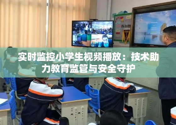 实时监控小学生视频播放：技术助力教育监管与安全守护