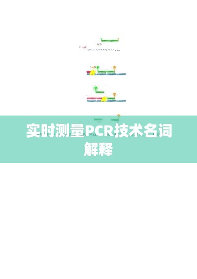 实时测量PCR技术名词解释
