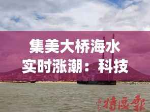 集美大桥海水实时涨潮：科技与自然的和谐交响