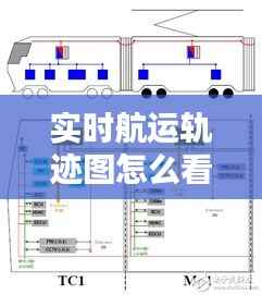 实时航运轨迹图怎么看