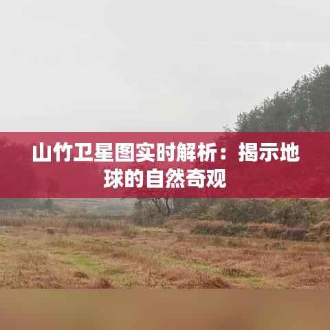 山竹卫星图实时解析：揭示地球的自然奇观