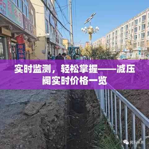 实时监测，轻松掌握——减压阀实时价格一览