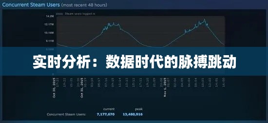 实时分析：数据时代的脉搏跳动