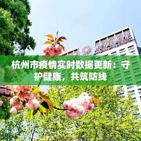 杭州市疫情实时数据更新：守护健康，共筑防线