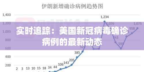 实时追踪:美国新冠病毒确诊病例的最新动态