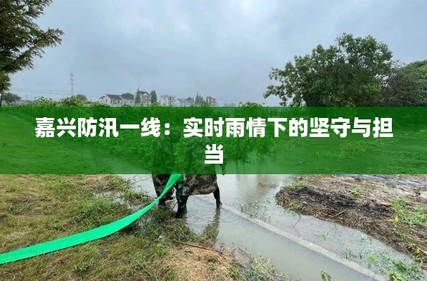 嘉兴防汛一线：实时雨情下的坚守与担当