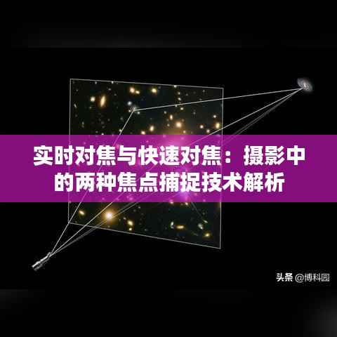 实时对焦与快速对焦：摄影中的两种焦点捕捉技术解析