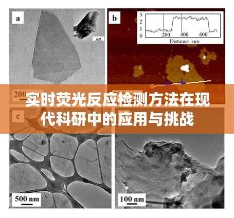 实时荧光反应检测方法在现代科研中的应用与挑战